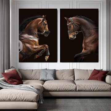 d41ac58a84be2ad7759f2a2ed2475ae5